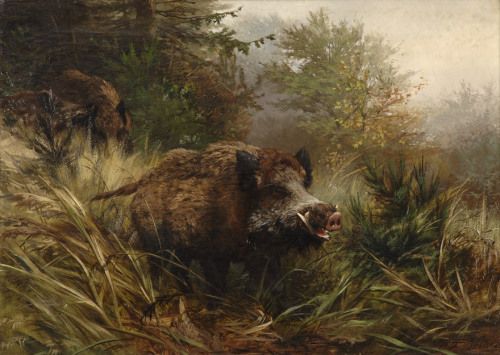 Illustration of wild boar in woodland